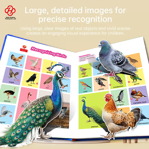 Touch Control Children's Book