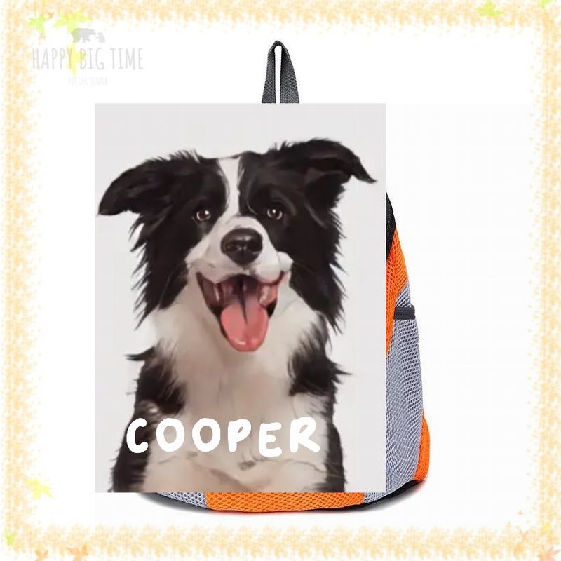 Pet Carriers Carrying for Small Cats Dogs Backpack Dog Transport Bag