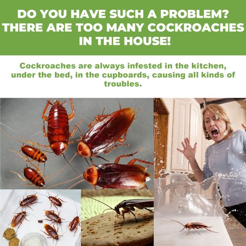 Roach Repellent Household Dormitory Kitchen Deep Cleaning Roach Killing Roach Repellent(12 pieces per box)