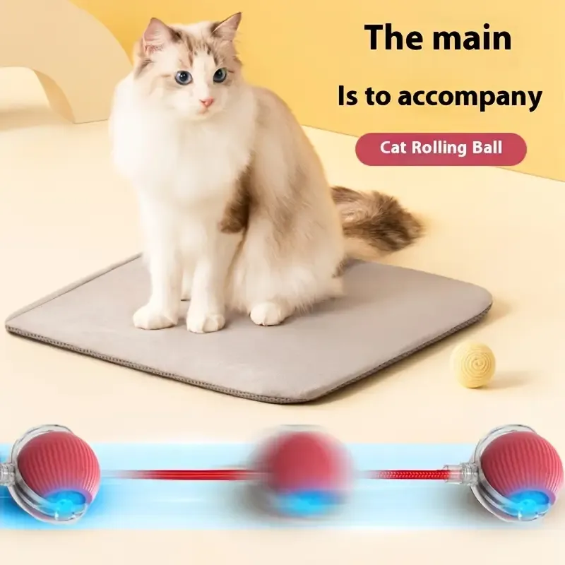 Interactive Cat Toys Ball Auto Electric Rolling Ball Toys for Cats dogs Pets Smart Automatic Teaser USB Rechargeable