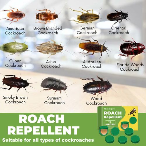 Roach Repellent Household Dormitory Kitchen Deep Cleaning Roach Killing Roach Repellent(12 pieces per box)