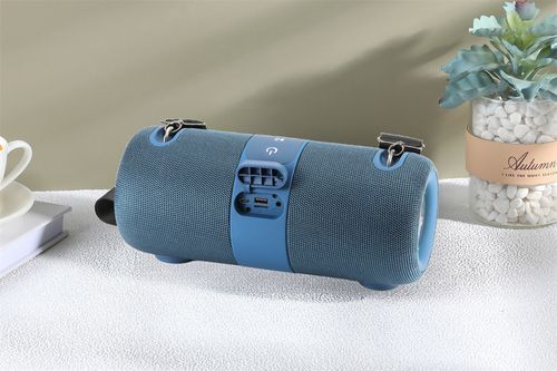 TG672 Outdoor Portable Subwoofer Bluetooth Speaker Support TF Card