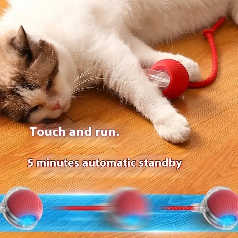 Interactive Cat Toys Ball Auto Electric Rolling Ball Toys for Cats dogs Pets Smart Automatic Teaser USB Rechargeable