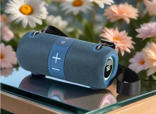 TG672 Outdoor Portable Subwoofer Bluetooth Speaker Support TF Card