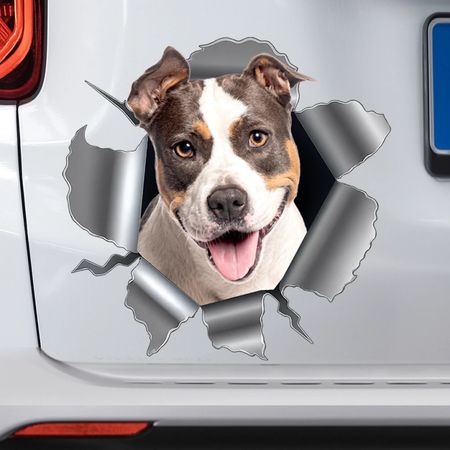 Anpassad bild RV Decal - Personaliserade Födelsedagsgåvor för hundkatt älskare, Hund Pappa och mamma, Kattägare - knäcka upp dig, en tas