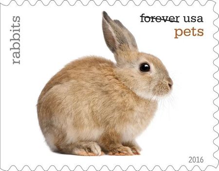 100 Rabbit Forever Stamps Unused Bunny Rabbit Postage Stamps For Mailing