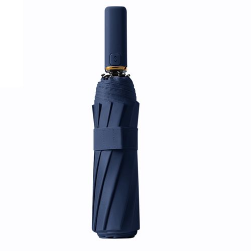 erised's bifrost French style Automatic Windproof Travel Compact Folding Umbrella