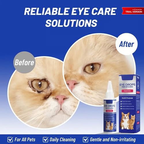 PET Dog Eye Drops, Eye Drops for Dogs&Cats
