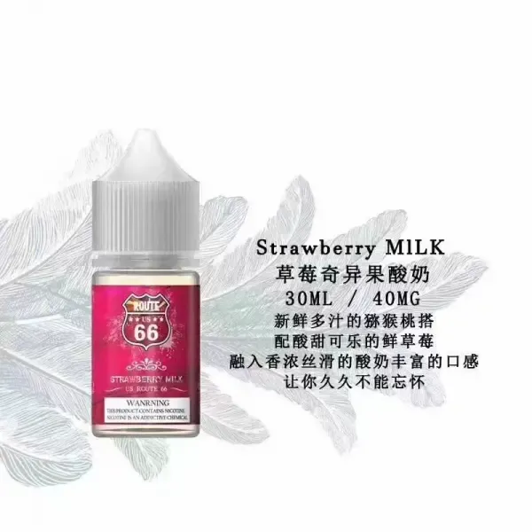 ROUTE 66 40mg丁鹽煙油 30ml｜美國原裝進口小煙專用｜台灣現貨免運