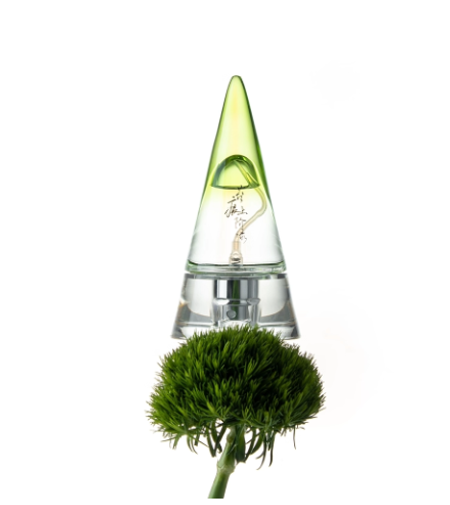 春風十裏苔痕上階緑男士木質香水持久淡香小衆高級送女友節日禮物