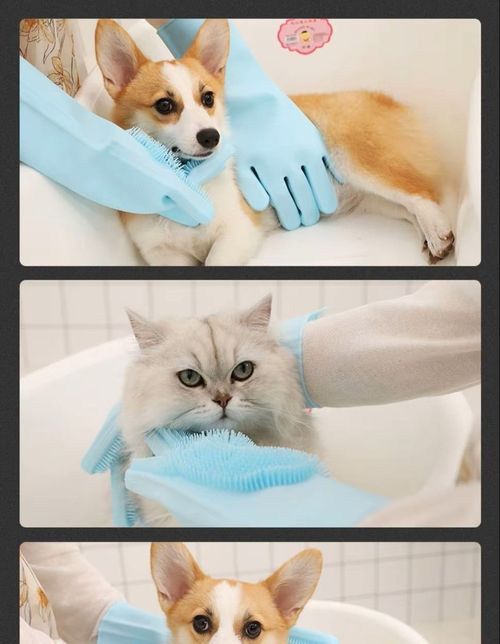 Magic Silicone Body Pet Bathing Gloves for Animal Perfect Bathe Shampoo Dog &Cat Brush Gloves