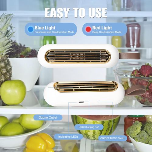 Refrigerator deodorizer ozone disinfection deodorizer