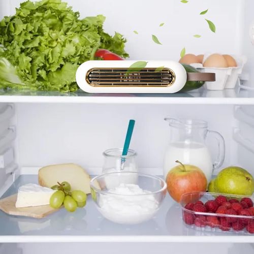 Refrigerator deodorizer ozone disinfection deodorizer