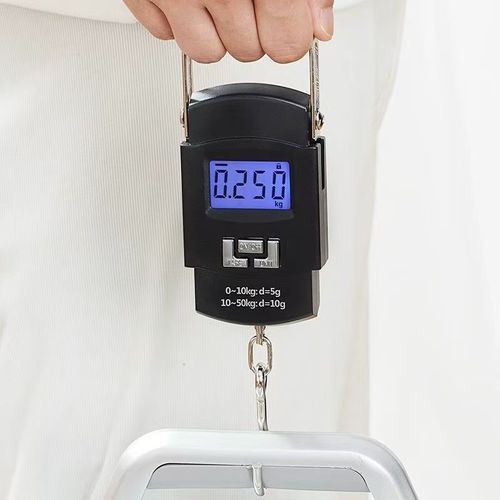 Precise Portable Hanging Scale, Mini Digital Handheld Hook Scale, Household Kitchen Weighing Tool