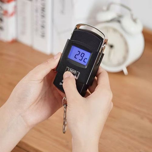 Precise Portable Hanging Scale, Mini Digital Handheld Hook Scale, Household Kitchen Weighing Tool
