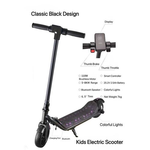 Classic Electric Scooter 6.3'' Tires Max 8 KM Range 110w Motor, Max 14 KM Speed E-Scooter