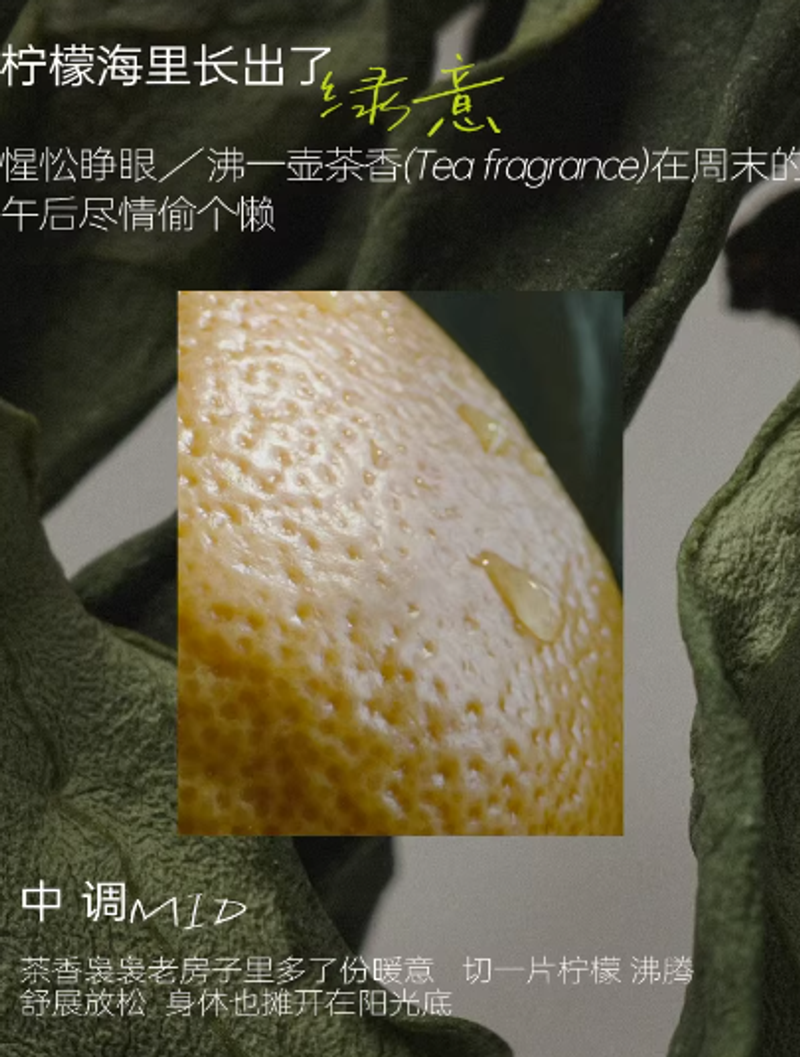 DUPU獨普香水山野之境女士持久淡香禮盒生日禮物送閨蜜邂逅大牌