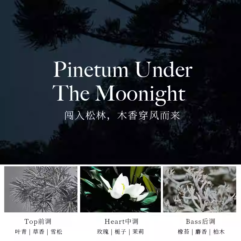 South valley月光下的鬆林沙龍香水淡香持久留香自然香氛小衆品牌
