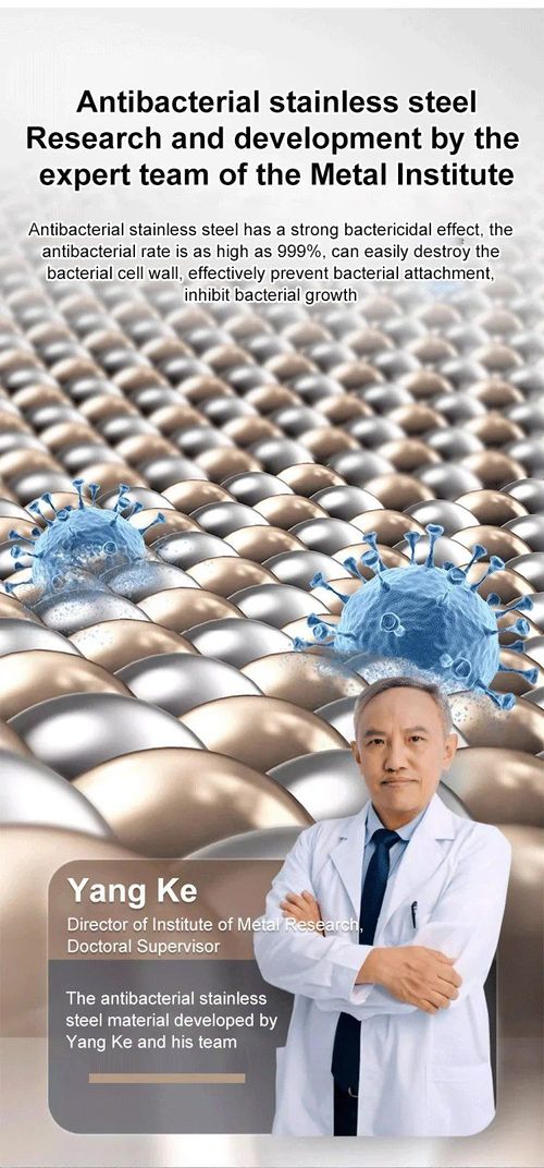 6 morceaux de plat carré en acier inoxydable (avec couvercle)