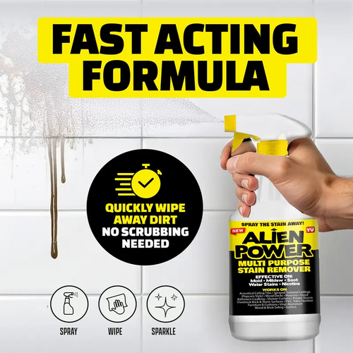 Anti- Mold Spray 2pcs