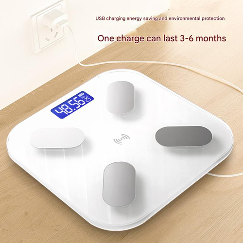 Smart body fat scale