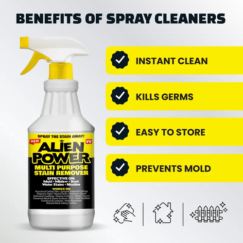 Anti- Mold Spray 2pcs