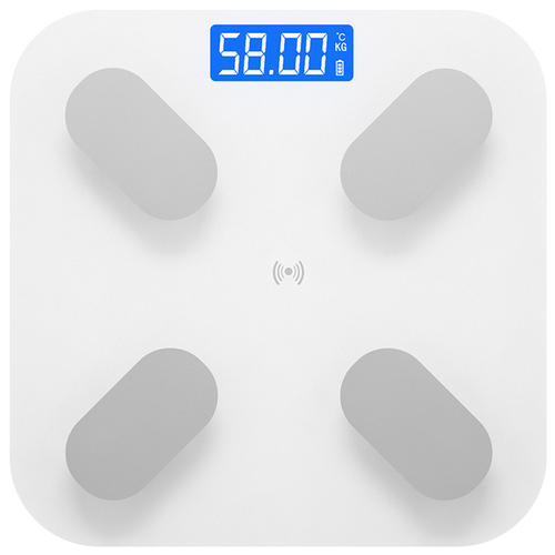 Smart body fat scale