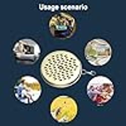 Outdoor camping portable mosquito coil tray with cover and hanging mosquito coil box, windproof and fireproof stainless steel mosquito coil rack