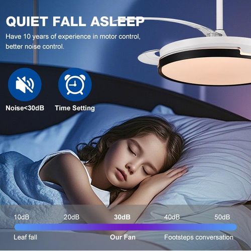 Fan Light