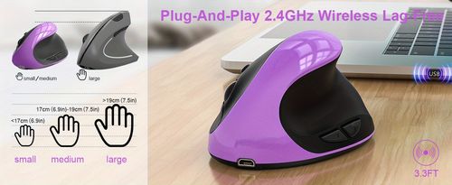 mouse