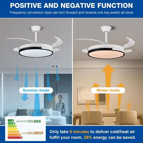Fan Light