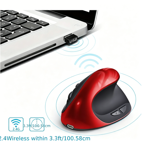 mouse
