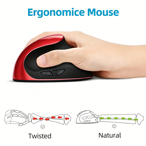 mouse