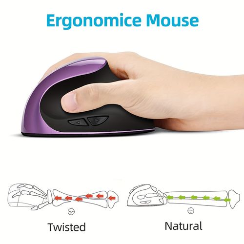 mouse