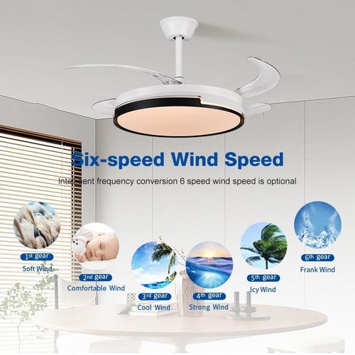 Fan Light