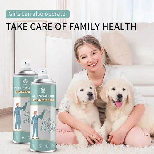 MagicSprayPaintINSTANTLYFixesUglyWalls Buy1 Get2