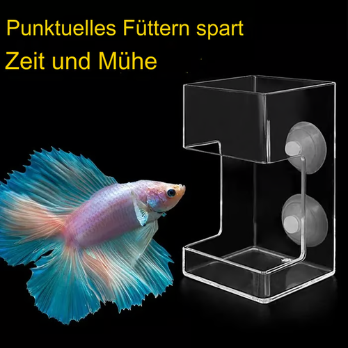 Clean food dispenser for aquariums