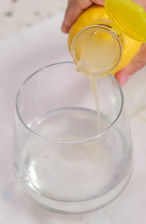 2-Pack Lemon Juicer – Plastic Lime Juicer – Compact Citrus Press with Lid – For Extracting Lime Juice for Cocktails and Drinks