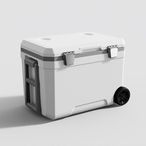 45L Outdoor Wheeled Cooler Box with Pull Handle for Car & Camping