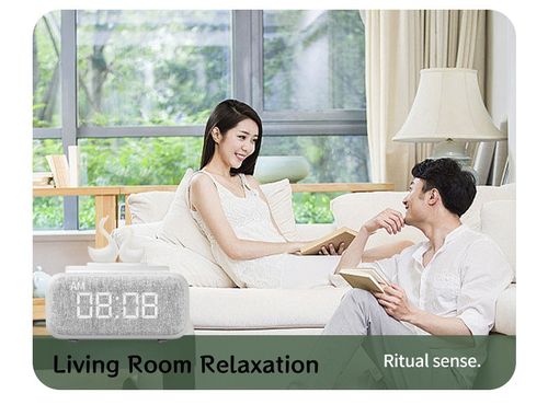 ✨2026 New Arrival Swan Bluetooth Speaker, LED Night Light Wireless Charger for Home Decor