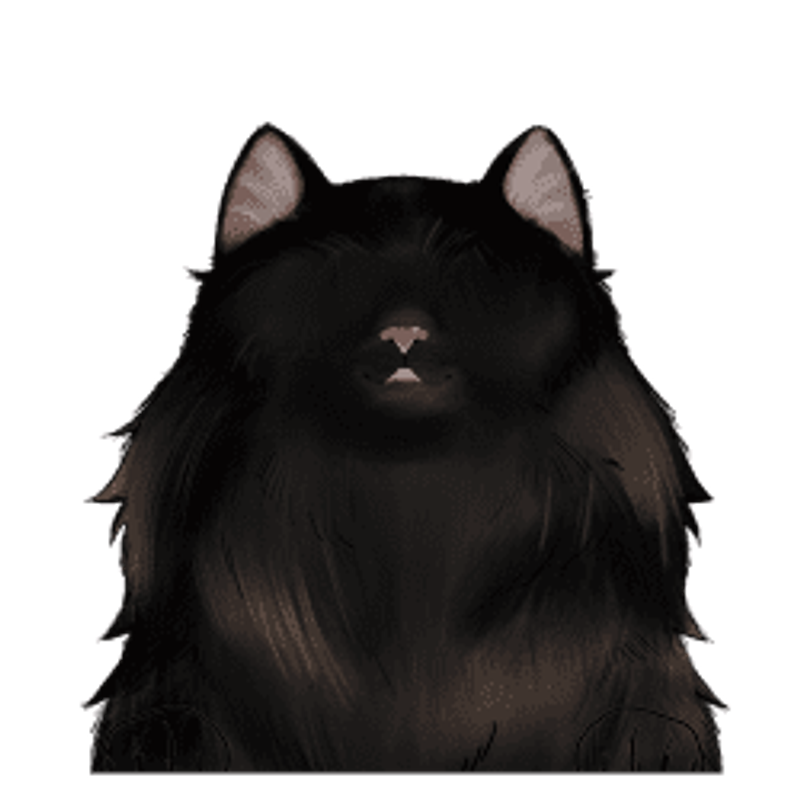 Camping Custom T Shirt Drunkest Bunch Of Assholes Campgrounds Funny Campsite RV Campervan Gift For Him