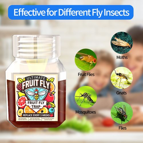 Fruit Fly Traps- safe for children and pets. Buy 3 Get 1 Free, 4-Piece Set