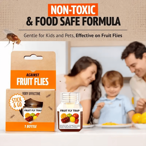 Fruit Fly Traps- safe for children and pets. Buy 3 Get 1 Free, 4-Piece Set