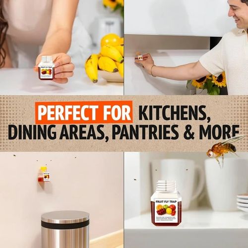 Fruit Fly Traps- safe for children and pets. Buy 3 Get 1 Free, 4-Piece Set