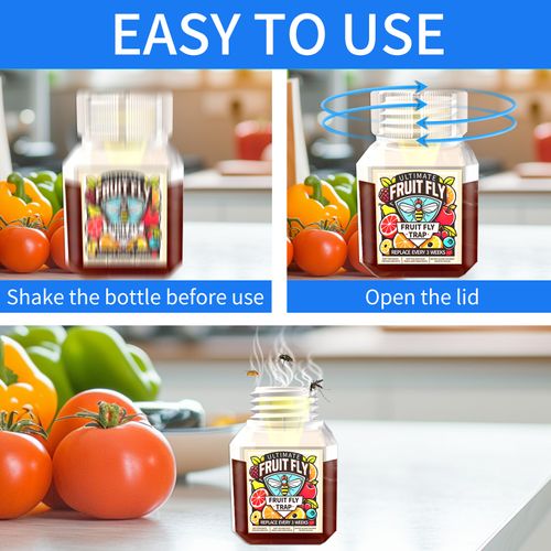 Fruit Fly Traps- safe for children and pets. Buy 3 Get 1 Free, 4-Piece Set