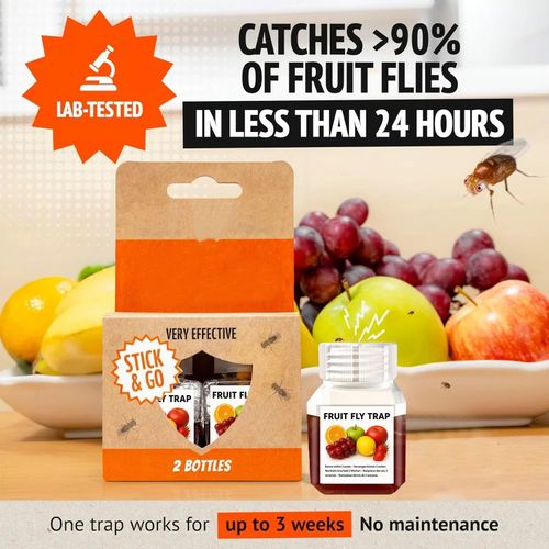 Fruit Fly Traps- safe for children and pets. Buy 3 Get 1 Free, 4-Piece Set