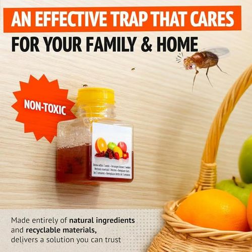 Fruit Fly Traps- safe for children and pets. Buy 3 Get 1 Free, 4-Piece Set