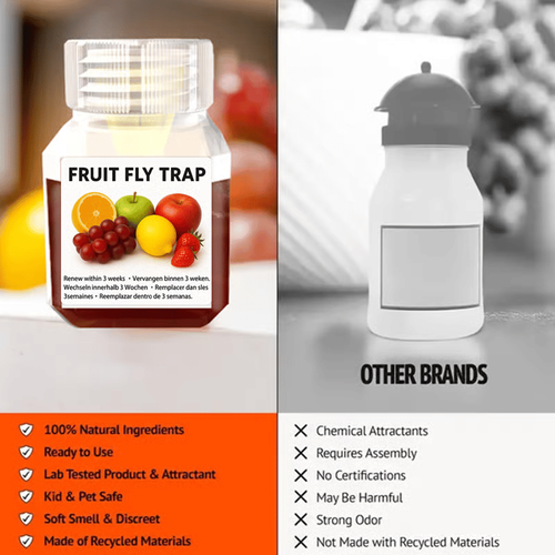 Fruit Fly Traps- safe for children and pets. Buy 3 Get 1 Free, 4-Piece Set