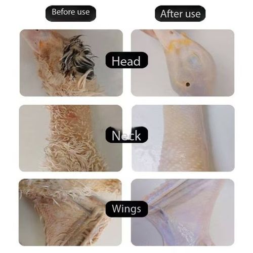 Portable handheld machine for removing feathers and plucking hair from chickens and quails