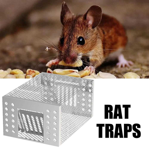 🎁⏳🐭Automatic Continuous Cycle Mouse Trap